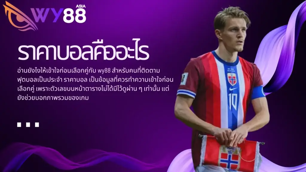 ราคาบอล คืออะไร อ่านยังไงให้เข้าใจก่อนเลือกคู่กับ wy88